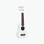 FZU-110-WH